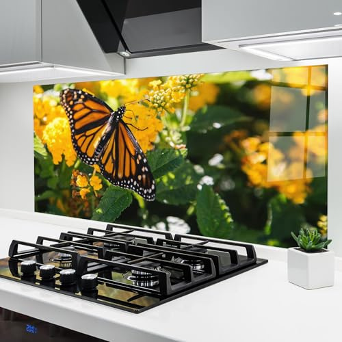 ARTHUB® Glass Kitchen Splashback 60x150 cm, Tempered Glass 4mm | Heat Resistant, Stove Splash Guard, Wall Protector, Landscapes, Orange Spring Butterfly