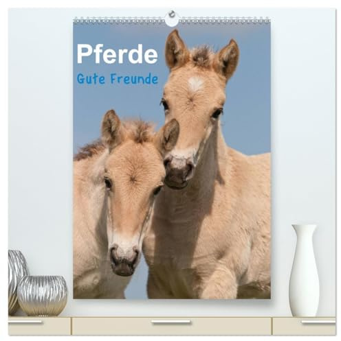 Pferde Gute Freunde (hochwertiger Premium Wandkalender 2026 DIN A2 hoch), Kunstdruck in Hochglanz: Wunderbare Pferdefotos begleiten Sie durch das Jahr! (CALVENDO Tiere)