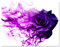 wandmotiv24 Leinwandbild Fantasy, Querformat, Lila Rose M0268