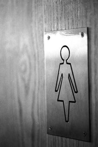 Tagebuch eines Femdom-Toilettensklaven (Dominant Divas German)