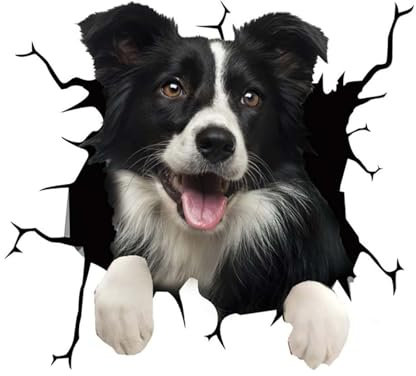 Adesivo 3D per auto a forma di cane, divertente, per Border Collie, impermeabile, per auto, paraurti, finestre, frigoriferi
