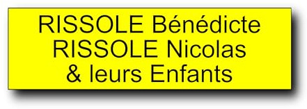 Plaque boîte aux lettres personnalisable 12 x 3,5 cm - Gravure laser PVC - Plaque nom adhésive - Étiquette porte/sonnette - Plaquette signalétique personnalisée (Jaune)