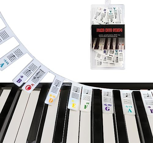 Keyboard Note Labels - Removable Silicone Piano Notes Guide for Learning, Full Size, Reusable (88-Key)