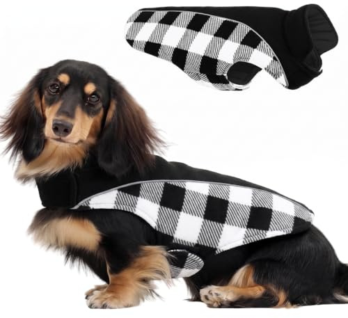 CITÉTOILE Warme Hundemantel Winter mit Bauchschutz Schwarz L | Wendbare Hundejacke mit Geschirrloch, Winterhundekleidung für kleine mittlere Große Hunde, Ideal für Spaziergänge & Wandern
