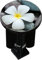 Ablaufgarnitur für Waschbecken, dekoriert, Design Blume auf Kieselsteinen – Universalstopfen 40 mm – für Standard-Waschbecken mit Zugverschluss.