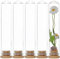 SUNNYCLUE 6 Mini Pot en Verre à Dôme de 30x150 mm, Mini Bocaux en Verre avec Cloche de 80 ML, Petit Dôme D'Affichage en Verre avec Base en Bambou, Bouteilles Décoratives en Verre pour Fleurs, Maison,