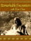 Remarkable Encounters with Ram Dass (English Edition)
