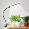 GooingTop Grow Light LED Growing Lamp,6500K 50W Full Spectrum 72 LED Gooseneck Plant Lamp Clip-on Desk for Indoor Plants Seed Starting,Lighting Brightness Adjustable,Timer 4 8 12 18Hrs
