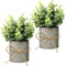 TFCIOD 2 Piezas Plantas Artificiales Decorativas, Planta Artificial Pequeña, Mini Ecologización Macetas Artificiales Decorativas, Fake Plants para Cocina, Salón,Oficina Mesa, Decoracion (Verde-007)