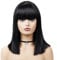 SKHAOVS Schwarze Perücke Natural Straight Perücken Hohe Dichte Damen Fasching Karneval Elegante Retro 70er 80er Cosplay Anime Kostüm Party Perücke für Halloween Kostümparty Karneval (Schwarz)