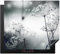 KitchenYeah© Cubre Vitrocerámica - Protector Vitroceramica Induccion 60x52 cm - Tapa Vitroceramica - Protector de Vitroceramica Flores - Invierno - Nieve - Naturaleza - Plantas