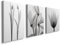 prinfantasy Poster Frühling Deko Wand Wohnzimmer - 3 Paneles Leinwand Bilder Wandbilder DYH0004