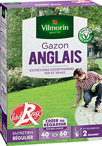 Vilmorin 4462714 Gazon Anglais, Vert, 1 kg