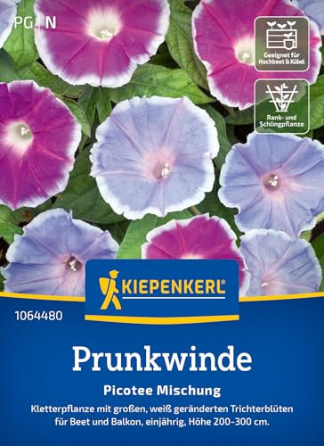Kiepenkerl Prunkwindensamen Picotee Mischung 1064480 - Kletterpflanze mit großen, weiß geränderten Trichtern - Pflanzensamen, Blumensamen Mischung, Saatgut