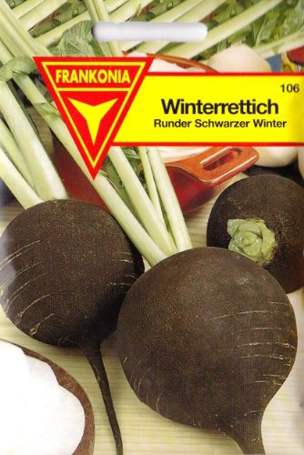 Winterrettich, Rettich, Runder Schwarzer Winter, Samen für ca. 3 lfm.