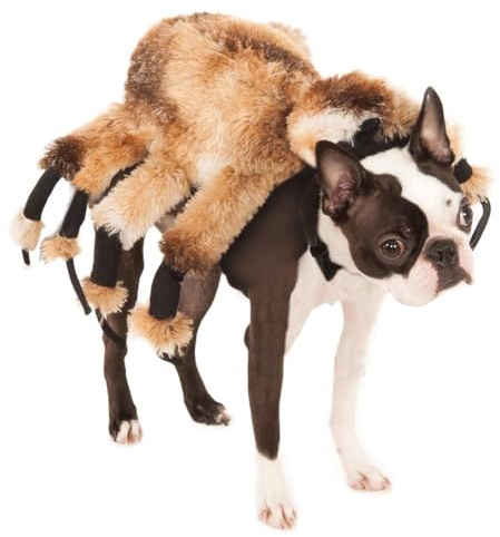 Rubie's Giant Spider Costume for Pets, Medium
