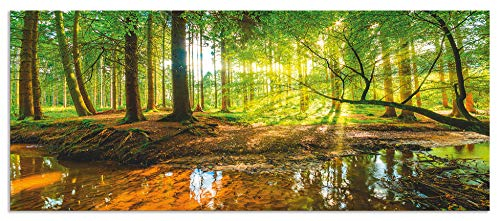 ARTland Spritzschutz Küchenrückwand aus Alu für Küche Herd Spüle 120x50 cm (BxH) mit Motiv Natur Landschaft Wald Bäume Sonne Bach Landhaus Grün T9IO