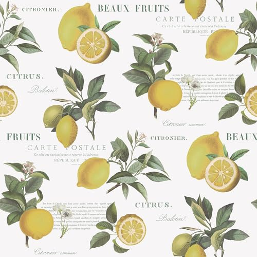 G45409 - Just Kitchens Citron Botanical Yellow Green White Galerie Wallpaper
