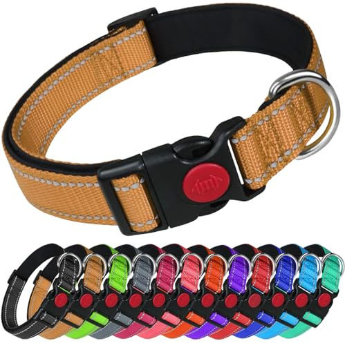 LARRYROO Reflective Dog Nylon Collar | Slide Lock Safety Buckle | Fully Adjustable | Soft Neoprene Padding (Gold, Small (25cm - 40cm Neck))