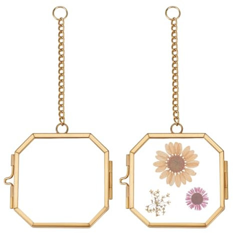 OLYCRAFT 2Pcs mini Cadre en Verre Suspendu de 5.4cm Cadre Photo Mural Octogonal en Verre Double avec Chaîne Cadre en Laiton Cadres D'Affichage D'Œuvres pour Fleurs Pressées Photos Murales