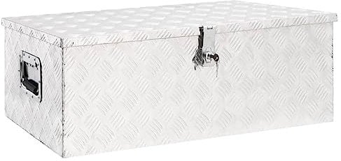 vidaXL Caja de Almacenaje Herramienta Vehículo Accesorio Remolque Coche Organizador Transporte Garaje Portátil Tapa de Aluminio Plateado