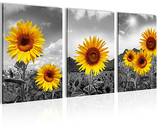 Novart AUFHÄNGFERTIG - Wandbilder Sonnenblumen Bilder Set XXL Wohnzimmer Schlafzimmer N008636a