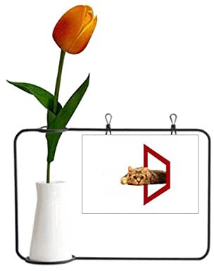 Künstliche Blumenvase, vierseitige Katzen-Liege, Dekorationskarte