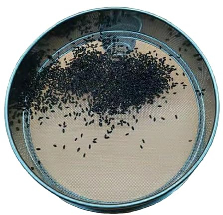 Setaccio di prova, setaccio per farina, seive a maglia fine, in acciaio inox, rotondo, per cottura, cucina, casa, laboratorio, diametro 30 cm (dimensione maglia 0,3 mm)