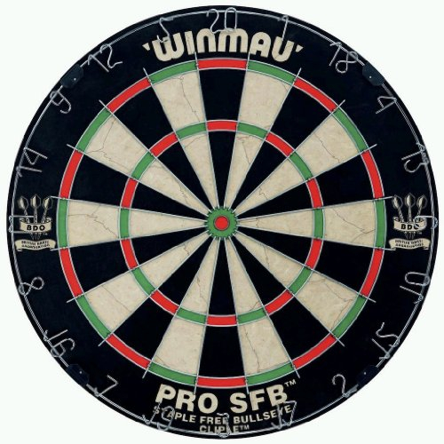 Steel Dartboard - Pro SFB