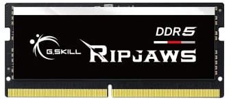 G.SKILL Ripjaws DDR5 SO-DIMM Series DDR5 RAM 16GB (1x16GB) 4800MT/s CL38-38-38-76 1.10V Unbuffered Non-ECC Notebook/Laptop Memory SODIMM (F5-4800S3838A16GA1-RS)