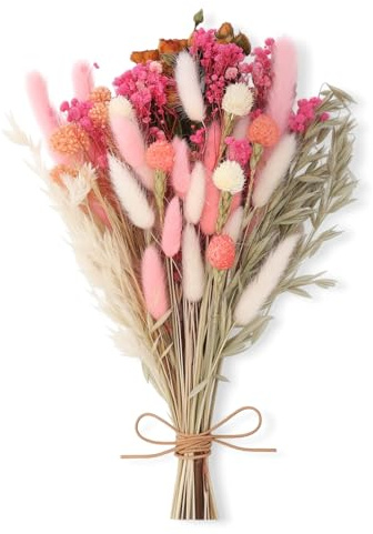 saerryor 43 Pcs Natural Dried Flowers Set 10 Varieties for DIY Vase Decor | Mix of Bunny Tail & Gypsophila, Long-lasting, for Bouquets, Frames, Greeting Cards, Home Vase Table Decor, Pink