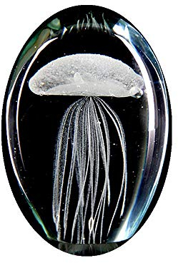 Farbige handgemachte Glühen Glas Qualle Briefbeschwerer Aquarium Kristall Kunst Handwerk Sammlerstück (Clear)