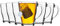 Duralex Juego de Tazas Transparentes para café - Cristal - 350 ml - Pack de 12