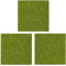 OrgMemory Model Grass Mat Age 3+, 3pcs, 50x50cm, Model Railway Scenery for Model Scenery (Grass Green)
