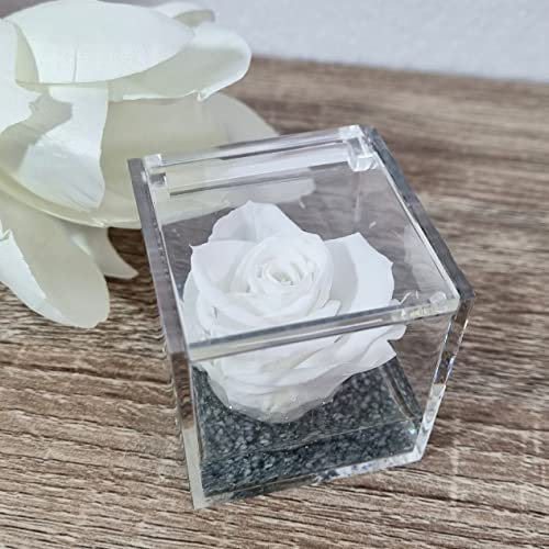 Sindy Bomboniere Rose stabilizzate in Scatola cubo Vari Colori con Gel e Sabbia (Bianca)