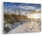 Bilder auf Glas Sand Gras Meer Glasbild 70x50cm Wandbilder Dekoration Wohnzimmer Schlafzimmer Küche Deko Klein Wanddeko Bild im Glas Wand Kunstdruck Art Modern Wall Decor Glasdruck GAA70x50-4781