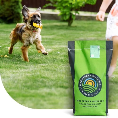 Family - Sport- & Spielrasen - zertifiziertes Grassaatgut | 5kg - 250m2 | Geeignet für Aussaat und Übersaat | Hohe Trittfestigkeit | Formt einen dichten Rasen | Hoher Zierwert | MRS Seeds
