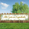 270x40cm Jugendweihe Banner Deko für Mädchen Junge - Alles Gute zur Jugendweihe Girlande Hintergrund für Party