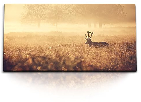 Paul Sinus 120x60cm Wandbild majestätischer Hirsch im Morgennebel mit Fokus auf Natur und Wildlife für eine beruhigende Raumatmosphäre.