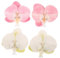 TEMPNAP 2Pairs Butterfly Orchid Shoe Clips Elegant Flower Buckle Accessories for Women Durable Decorative Charms for High Heels and Sandals for Beach Parties and Summer Outings