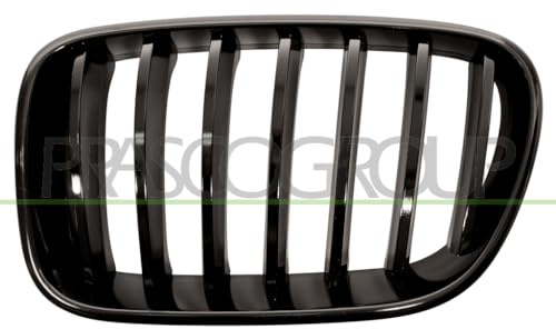 PRASCO BM8052004 Frontgrillspoiler