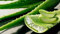 PIANTA DI ALOE VERA vaso16