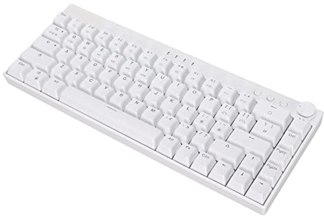 DREI Modi RGB-Hintergrundbeleuchtung Mechanische Tastatur, 68 Tasten 1800 MAh Akku N Key Rollover Weiß Mechanische Gaming-Tastatur, Unterstützt Wireless 2.4g/bt 3.0/5.0/Typ C