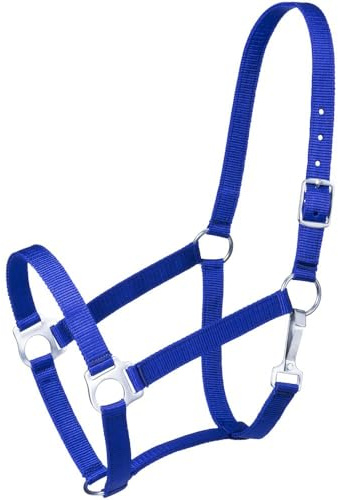 Tough1 Economy Horse Halter - Royal Blue