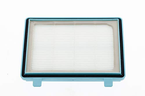 Daniplus Filtre HEPA pour aspirateur Philips FC8010 PowerPro Compact, City, Active