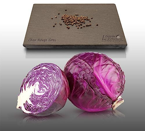 100 graines à semer - Le Grenier d'Abondance - CHOU Rouge Gros - Brassica oleracea