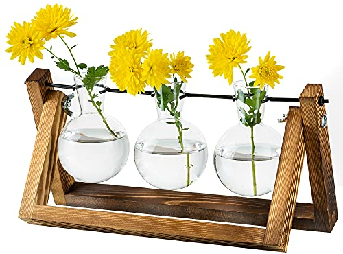 Vermehrungsstation Für Pflanzen Upgrade Zwiebel Vase Pflanzer Mit Holzständer Glas Blumentopf Innen Für Tischdekoration Vintage Home Office Zubehör, 3 Zwiebeln