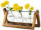 Station De Propagation pour Plantes Mise À Niveau De L'Ampoule Vase Planter avec Support en Bois Pot De Plante en Verre Intérieur pour La Décoration De Pièce Maîtresse De Table Accessoires