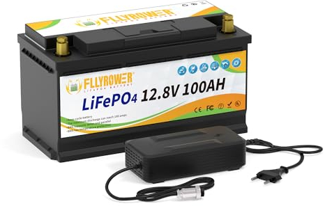 LifePo4 Batterie 12 V 100 Ah Cycles profonds avec BMS pour moteur à roulettes, camping-cars, appareils ménagers, marins, voiturettes de golf, bloc d'alimentation, éclairage d'urgence