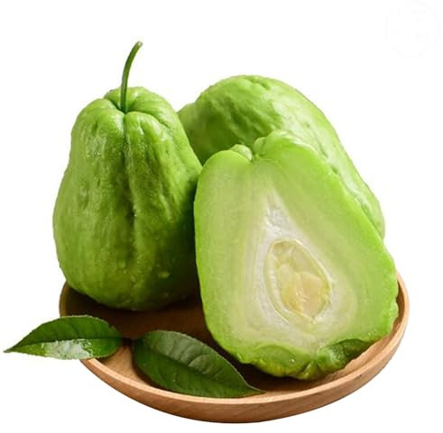 kiskick Natürliche Chayote-Samen, 100 Stück Pflanzensamen, Klettern, feucht, subtropisch, frisch, verschiedene natürliche Chayote-Samen, Gartenzubehör Saatgut